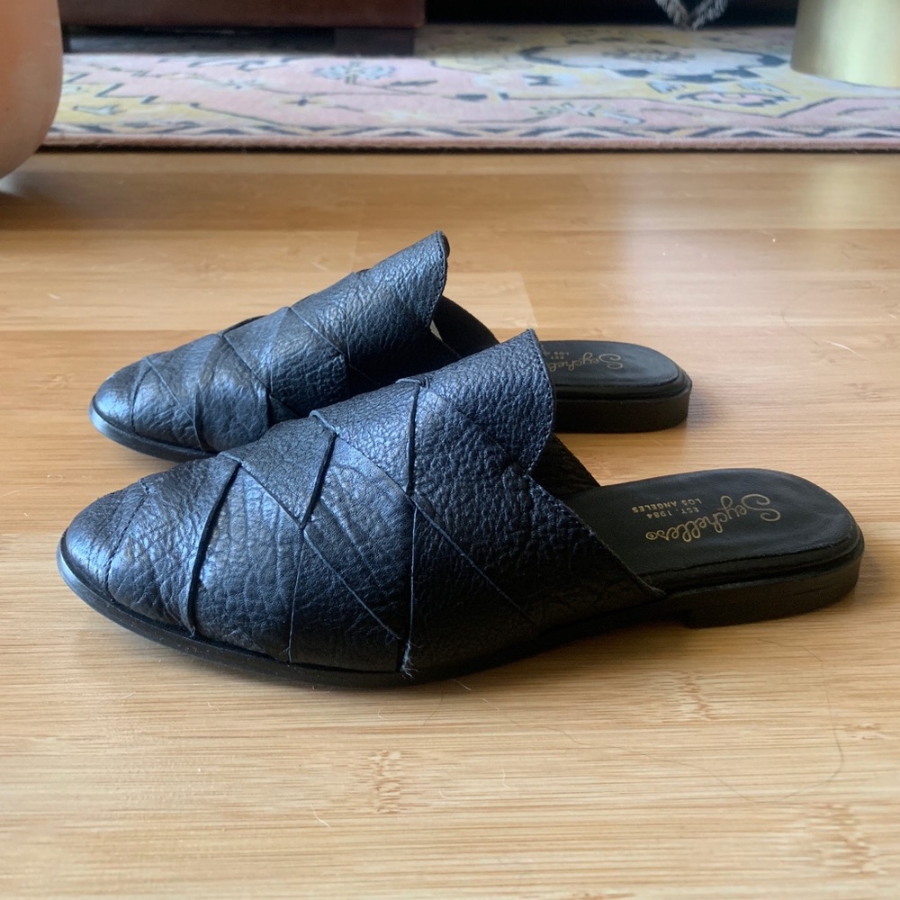 Seychelles Black Survival Mule